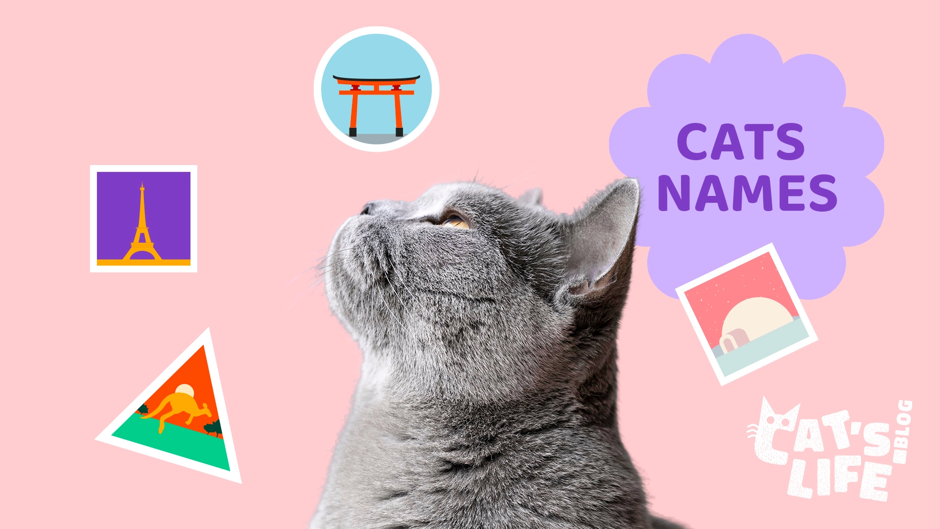 A Global Perspective: Exploring Popular Cat Names Across Cultures - Cat ...
